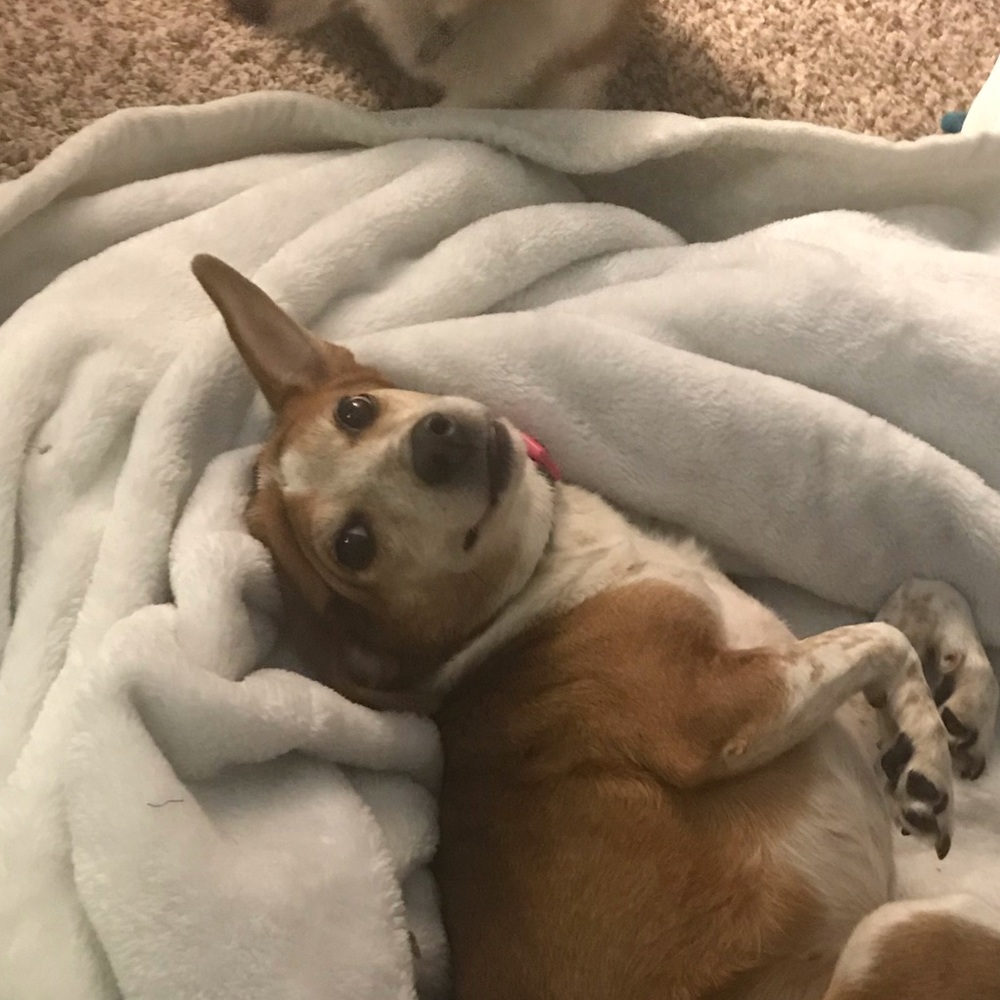 Meet your Posher, Mason